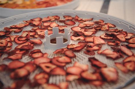 Инструкция по применению: на что способна сушилка для овощей и фруктов ...