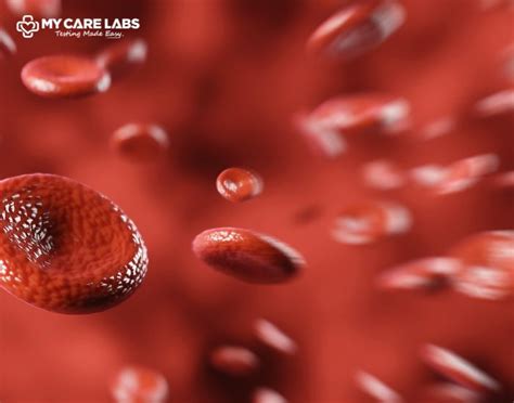 Blood Test MCV Levels High, Low & Normal Range