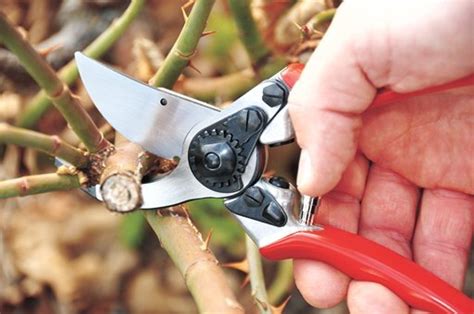 Секатор FELCO 11– купить в интернет-магазине,цена,заказ online