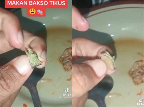 Viral Warga di Kendari Diduga Makan Jeroan Bakso dari Tikus