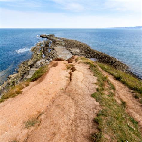 Whitby Route 840: Schedules, Stops, and Route Maps 28