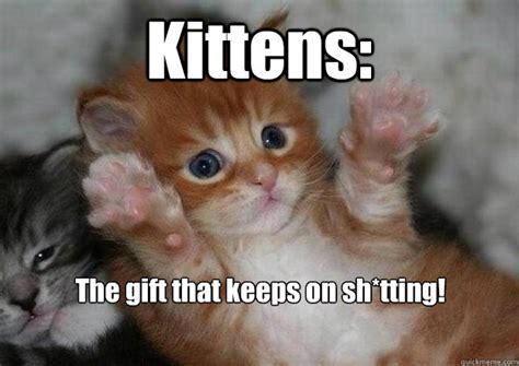 Two kittens say memes | quickmeme