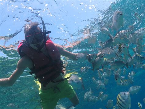 Snorkeling Coral Beach – Scuba diving varadero