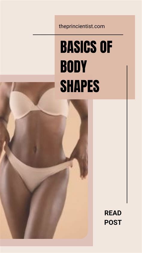 Basics of Body Shapes - Everything you need to know | Read Post | Body ...