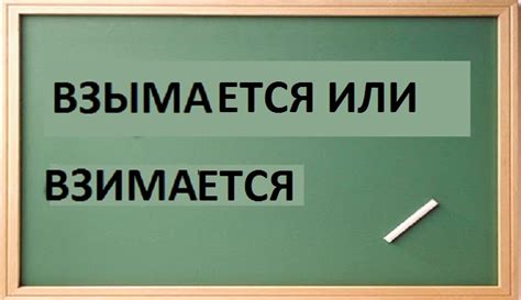 Как правильно: "взымается" или "взимается"? Разбираемся в правописании
