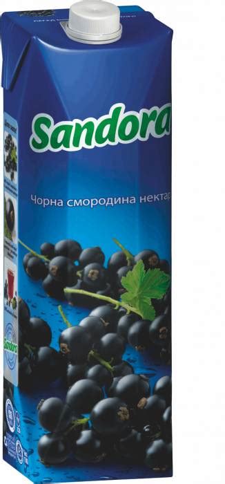 Chernaya_smorodina_nektar_smorodina – "Rustel"
