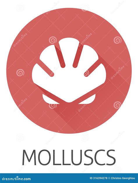Seashell Shell Mollusc Seafood Food Icon Stock Vector - Illustration of