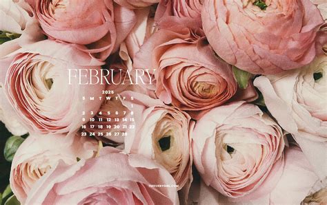 February 2025 Tech Backgrounds: Free, Downloadable Wallpapers! - NewsBreak