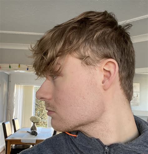 Lewis Rex on Twitter: "Gigachad beard progress 3 weeks"