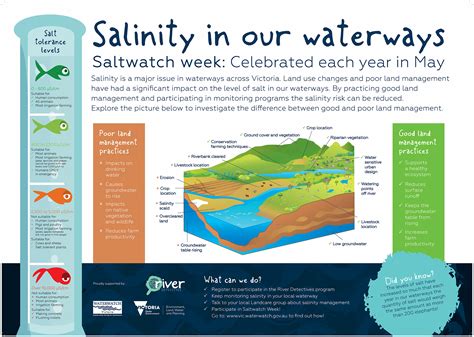 salinity river detectives