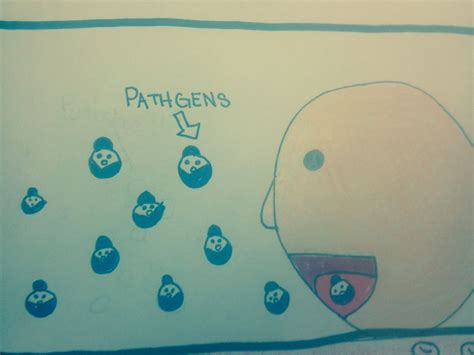 immune system project 2: The comic Strip - Evan's Weebly