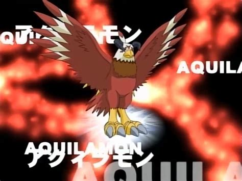#aquilamon on Tumblr