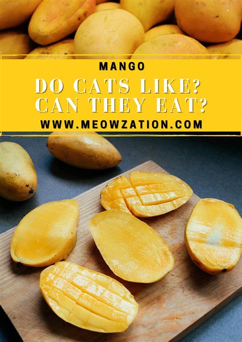 Can Cats Have Mango? (Possible Side Effects IF THEY EAT!)