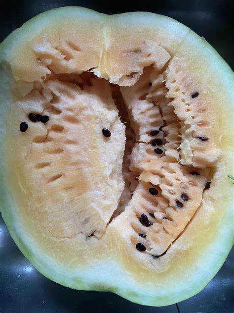 Nikki - Today is day 1 of my watermelon fast. But when I cut it open it