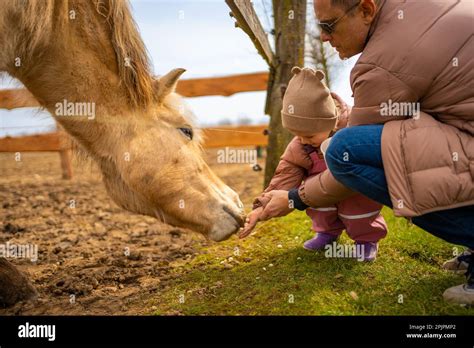 People feeding animals in contact zoo with domestic animals and people in Zelcin, Czech republic ...