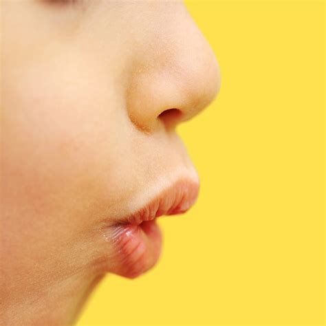 Nose Pictures For Kids