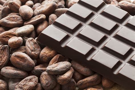 How Chocolate Makers can Navigate the Cocoa Price Surge - The High Five