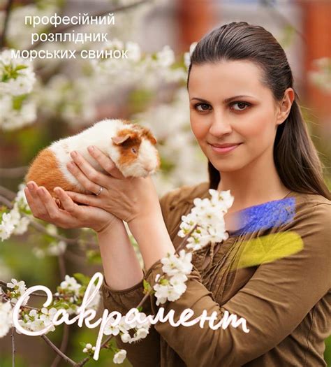 Розплідник морських свинок "Сакрамент" | Kyiv