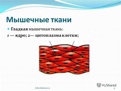 Презентация на тему: "3. лекция 1Julia Kjahrenova. Ткани Тканями ...