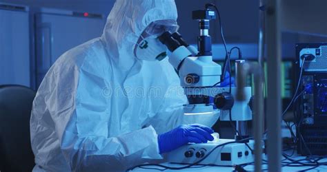 Scientist Examining Bacteria with Microscope Stock Photo - Image of ...