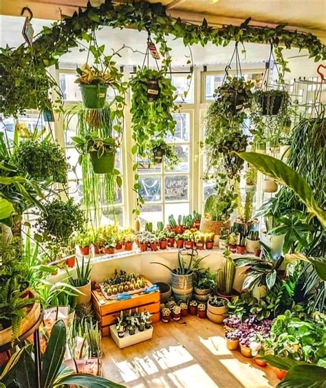 6 tips on how to grow an indoor garden and where to put it – Artofit
