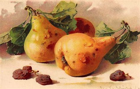 Мой Сказочный Мир: Нежные открытки Катарины Кляйн