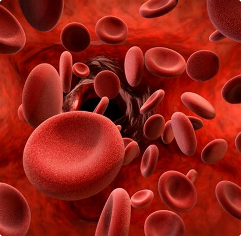 Bio Banking Solutions | Umbilical cord blood storage
