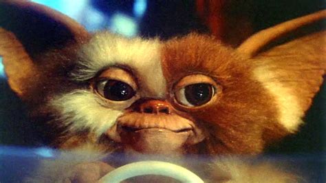 New Gremlins On The Way? ~ Zaki's Corner with Zaki Hasan