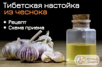 Настойка чаги против рака