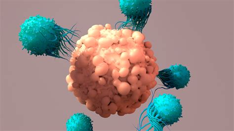 inmunoterapia-cancer - Noticias Acunsa