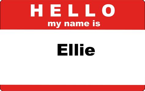 The Chronicles of Ellie Bellie Bear: What is Your Name?