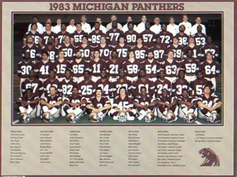 Michigan Panthers Team History | Sports Team History