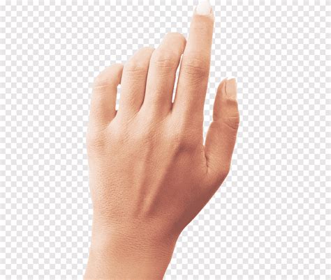 Hands, Hands png | PNGEgg