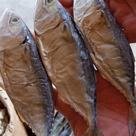 jual ikan asin shopee indonesia
