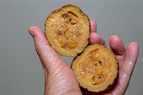 premium photo ripe genipap fruit genipa americana isolated  fine