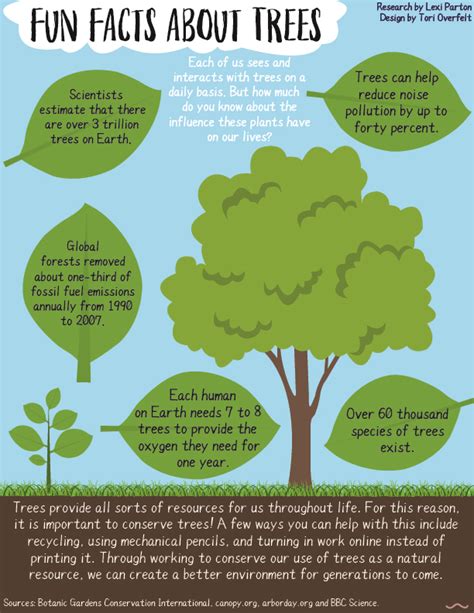 fun facts  trees   fun facts  interes vrogueco
