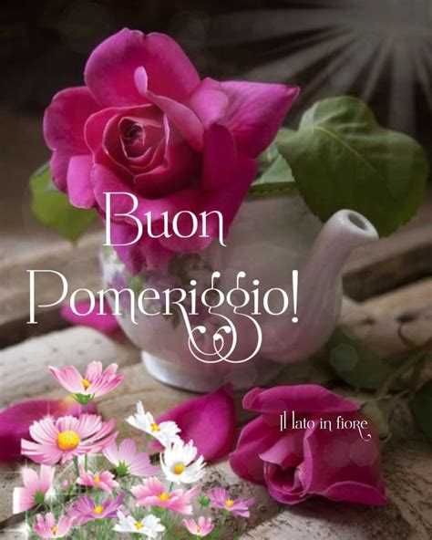 48+ immagini nuove Buon Pomeriggio - MeravigliosoBuongiorno.it