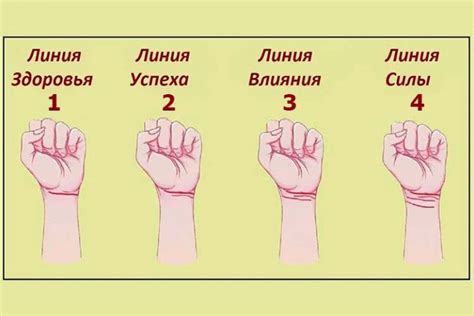 Линии на запястье могут предсказать ваше будущее | proverbesdamour