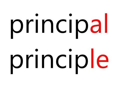 principalとprincipleの違いについて:語い | English Pal
