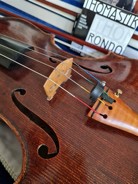 thomastik rondo rviola