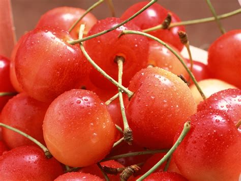 Fresh cherries Wallpaper - SaversPlanet.com