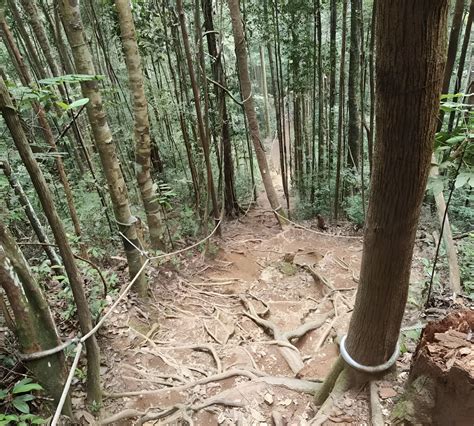 gunung lambak