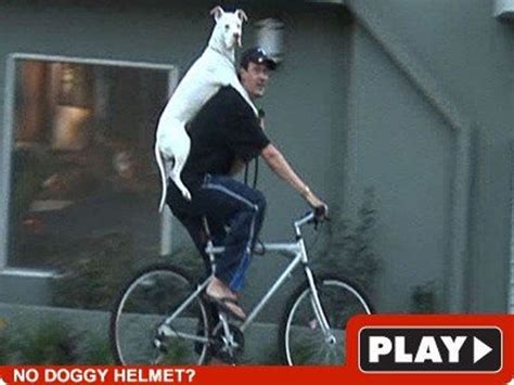 ride  bicycle doggystyle