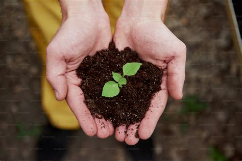1000+ Eco Friendly Pictures | Download Free Images on Unsplash