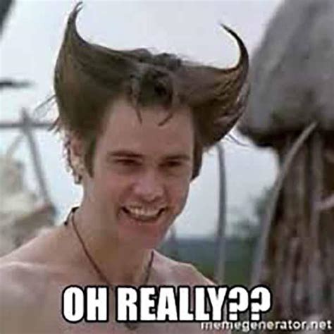 43 Funniest Really Meme - Meme Central