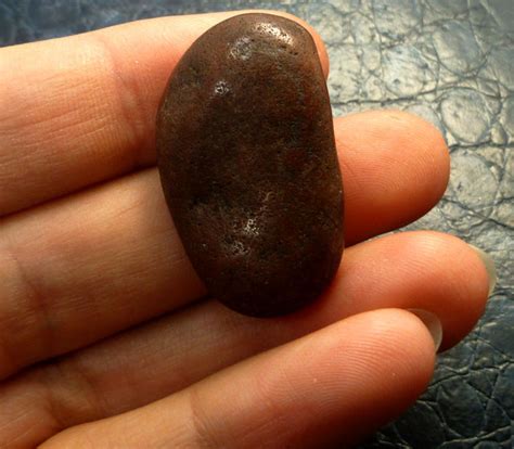 50 CTS GASTROLITHS DINOSAURS GIZZARD STONE MS 288