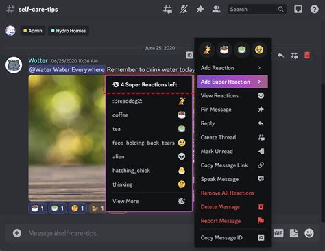 Reactions and Super Reactions FAQ – Discord