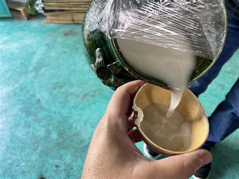 Where to Find the Best Pulque in Mexico City and Oaxaca, and How I