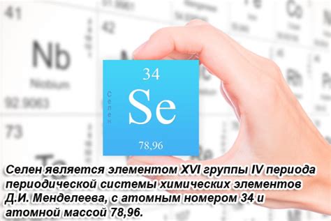 Селен (Se, Selenium) - влияние на организм, польза и вред, описание ...