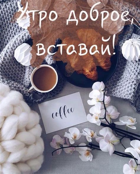 Доброе утро четверга картинки - подборка прикольных картинок.